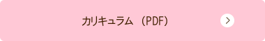 カリキュラム（PDF）